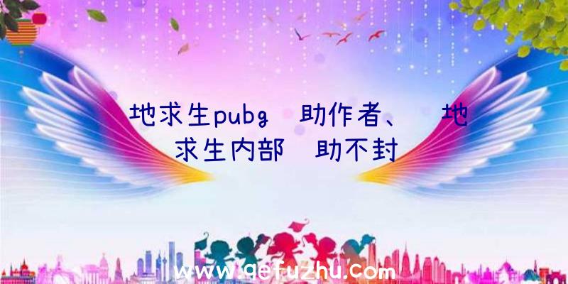 绝地求生pubg辅助作者、绝地求生内部辅助不封