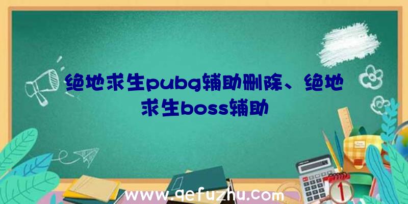 绝地求生pubg辅助删除、绝地求生boss辅助