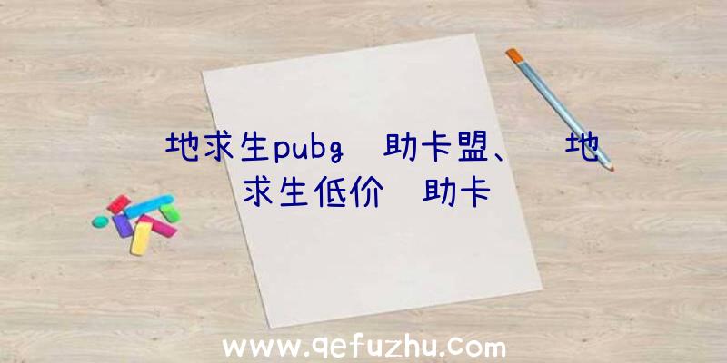 绝地求生pubg辅助卡盟、绝地求生低价辅助卡