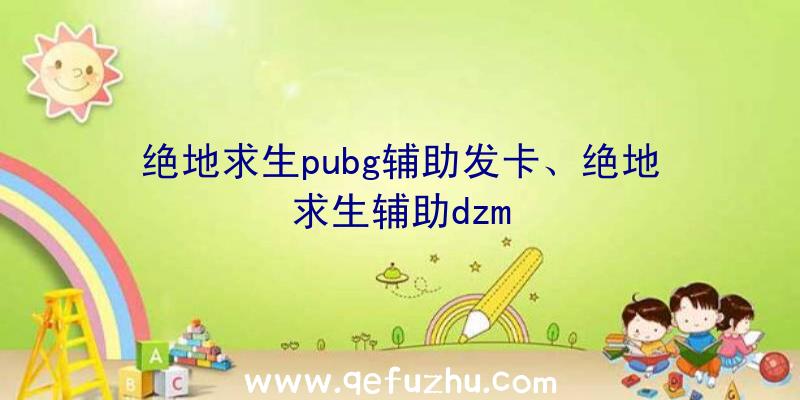 绝地求生pubg辅助发卡、绝地求生辅助dzm