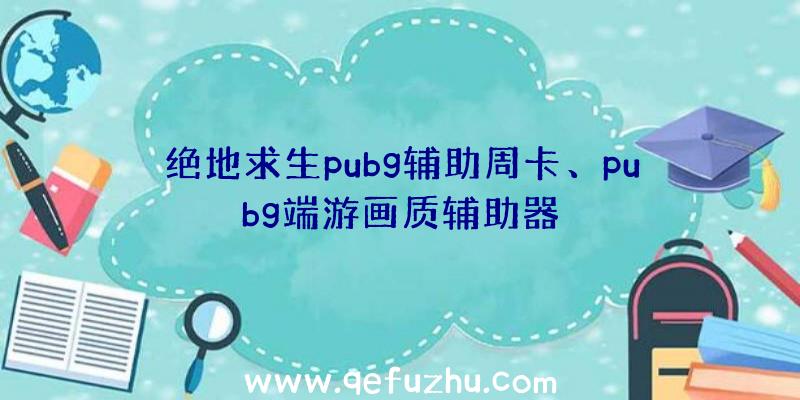 绝地求生pubg辅助周卡、pubg端游画质辅助器