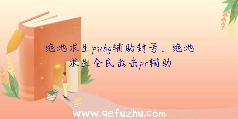 绝地求生pubg辅助封号、绝地求生全民出击pc辅助