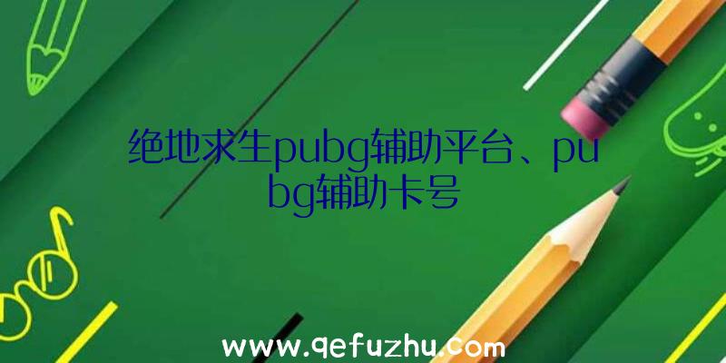 绝地求生pubg辅助平台、pubg辅助卡号