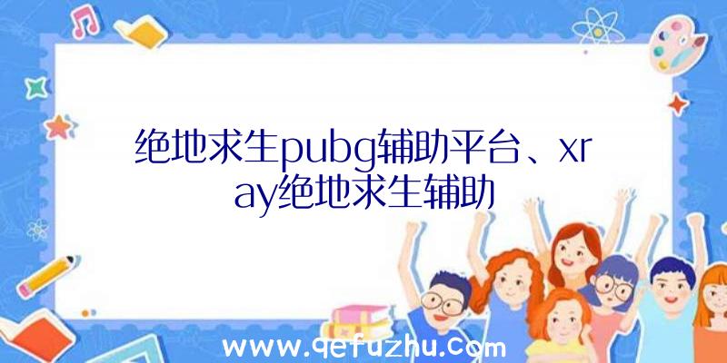 绝地求生pubg辅助平台、xray绝地求生辅助