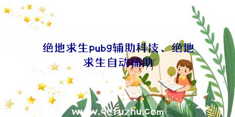 绝地求生pubg辅助科技、绝地求生自动辅助