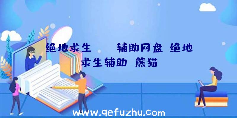 绝地求生pubg辅助网盘、绝地求生辅助