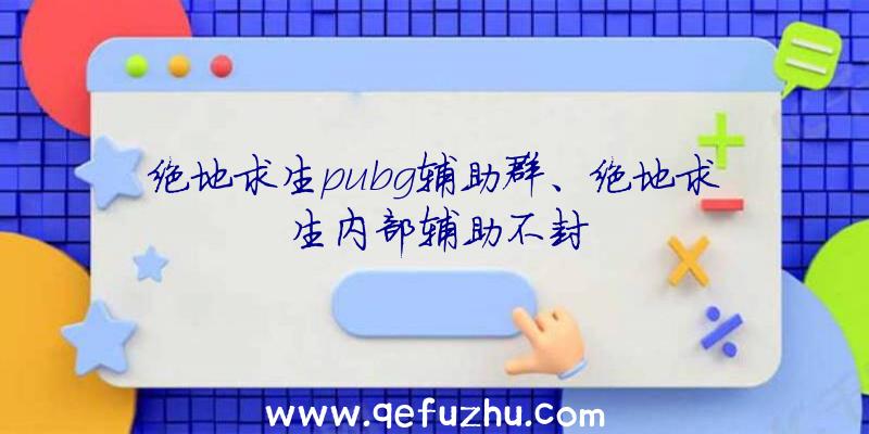 绝地求生pubg辅助群、绝地求生内部辅助不封