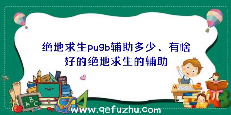 绝地求生pugb辅助多少、有啥好的绝地求生的辅助