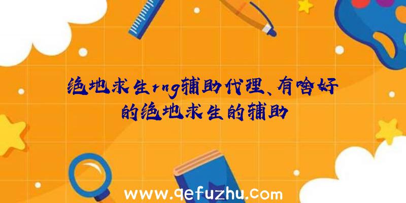 绝地求生rng辅助代理、有啥好的绝地求生的辅助