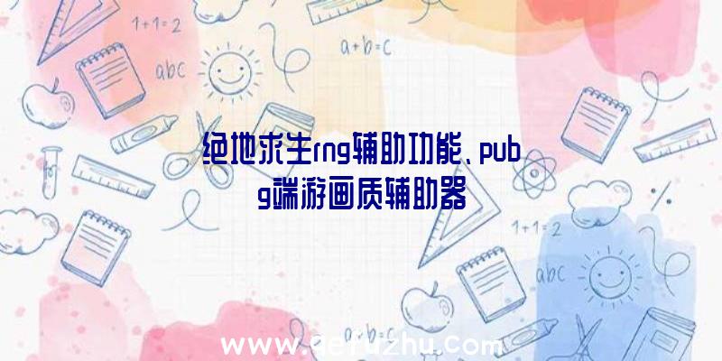 绝地求生rng辅助功能、pubg端游画质辅助器