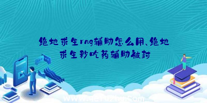 绝地求生rng辅助怎么用、绝地求生秒吃药辅助被封