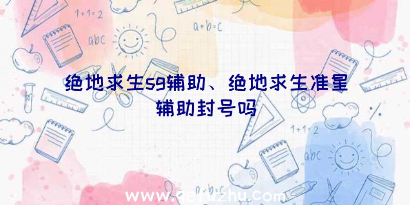 绝地求生sg辅助、绝地求生准星辅助封号吗