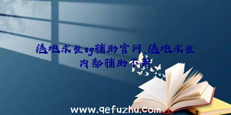 绝地求生sg辅助官网、绝地求生内部辅助不封