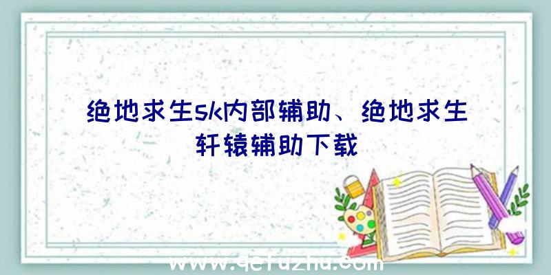 绝地求生sk内部辅助、绝地求生轩辕辅助下载