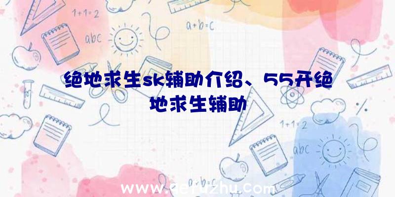 绝地求生sk辅助介绍、55开绝地求生辅助