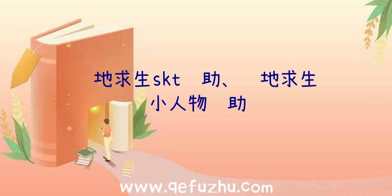 绝地求生skt辅助、绝地求生缩小人物辅助