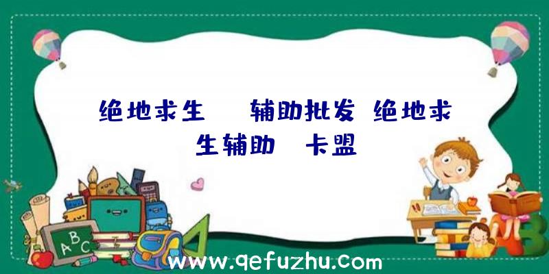 绝地求生skt辅助批发、绝地求生辅助fz卡盟