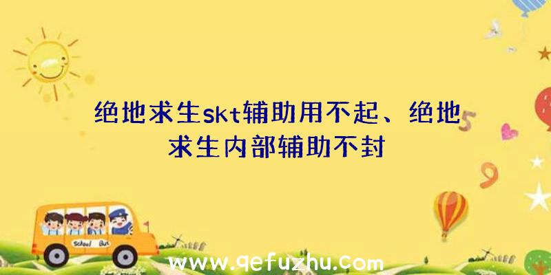 绝地求生skt辅助用不起、绝地求生内部辅助不封