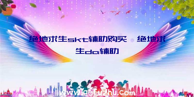 绝地求生skt辅助购买、绝地求生da辅助