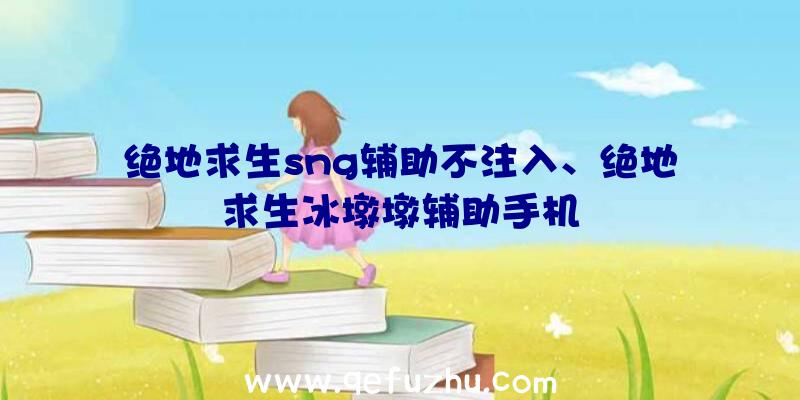 绝地求生sng辅助不注入、绝地求生冰墩墩辅助手机