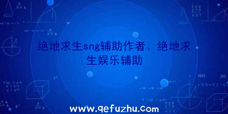 绝地求生sng辅助作者、绝地求生娱乐辅助