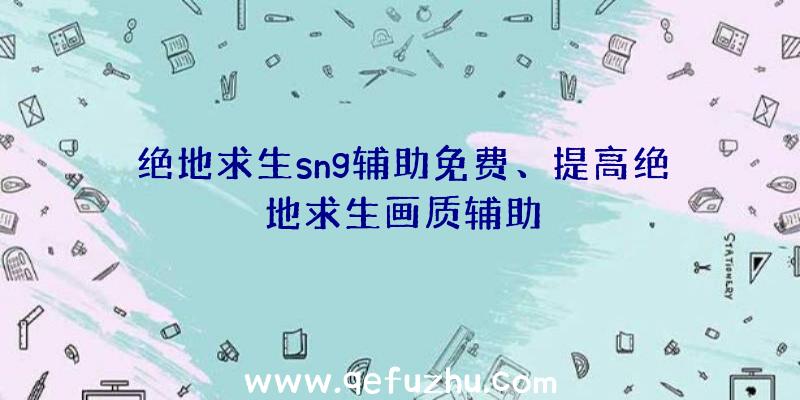 绝地求生sng辅助免费、提高绝地求生画质辅助