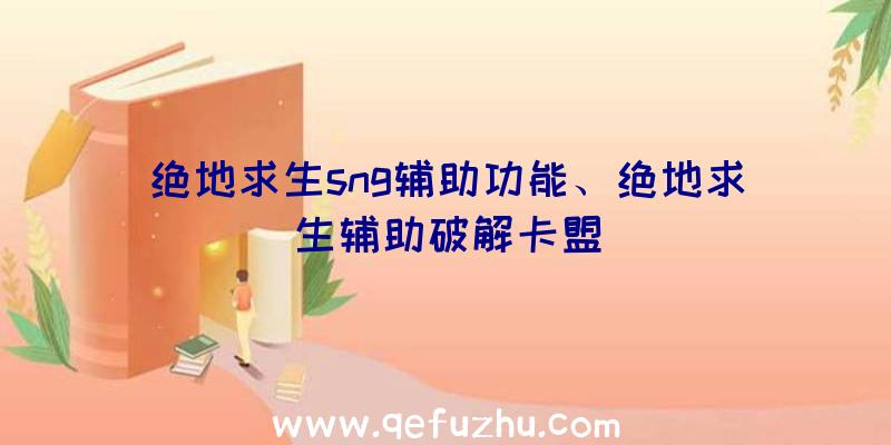 绝地求生sng辅助功能、绝地求生辅助破解卡盟