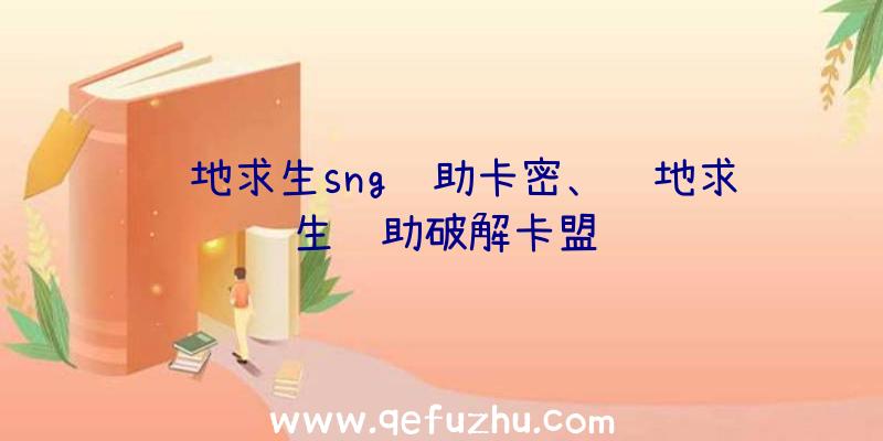 绝地求生sng辅助卡密、绝地求生辅助破解卡盟