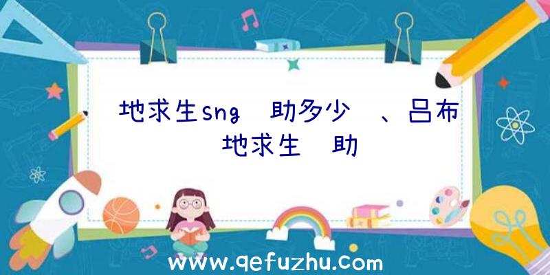 绝地求生sng辅助多少钱、吕布绝地求生辅助