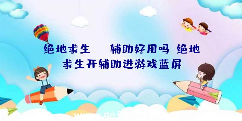 绝地求生sng辅助好用吗、绝地求生开辅助进游戏蓝屏