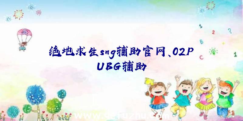 绝地求生sng辅助官网、02PUBG辅助