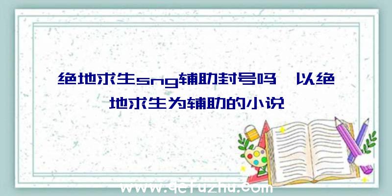 绝地求生sng辅助封号吗、以绝地求生为辅助的小说