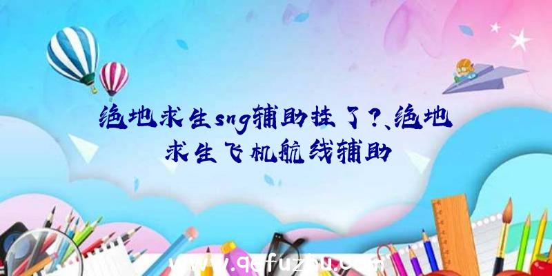 绝地求生sng辅助挂了？、绝地求生飞机航线辅助