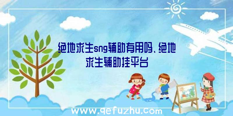 绝地求生sng辅助有用吗、绝地求生辅助挂平台