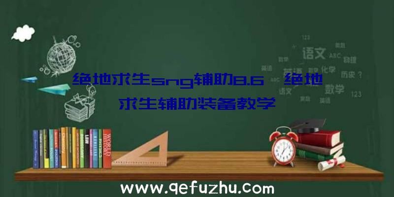 绝地求生sng辅助8.6、绝地求生辅助装备教学