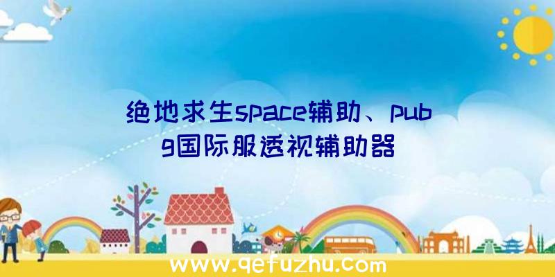 绝地求生space辅助、pubg国际服透视辅助器