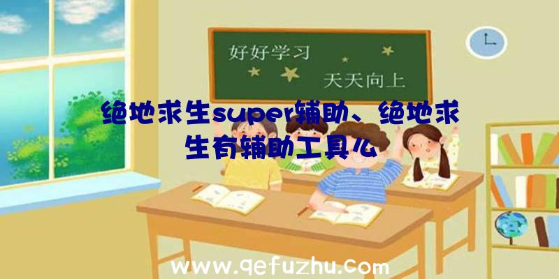 绝地求生super辅助、绝地求生有辅助工具么