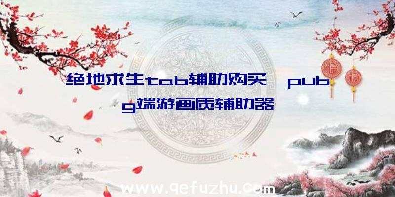 绝地求生tab辅助购买、pubg端游画质辅助器