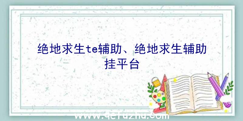 绝地求生te辅助、绝地求生辅助挂平台