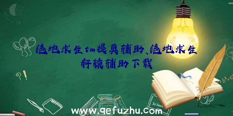 绝地求生tm提莫辅助、绝地求生轩辕辅助下载