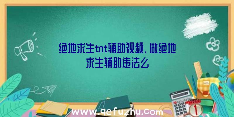 绝地求生tnt辅助视频、做绝地求生辅助违法么