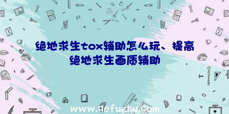 绝地求生tox辅助怎么玩、提高绝地求生画质辅助