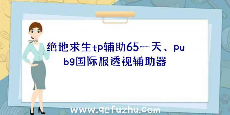 绝地求生tp辅助65一天、pubg国际服透视辅助器