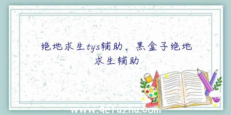 绝地求生tys辅助、黑盒子绝地求生辅助