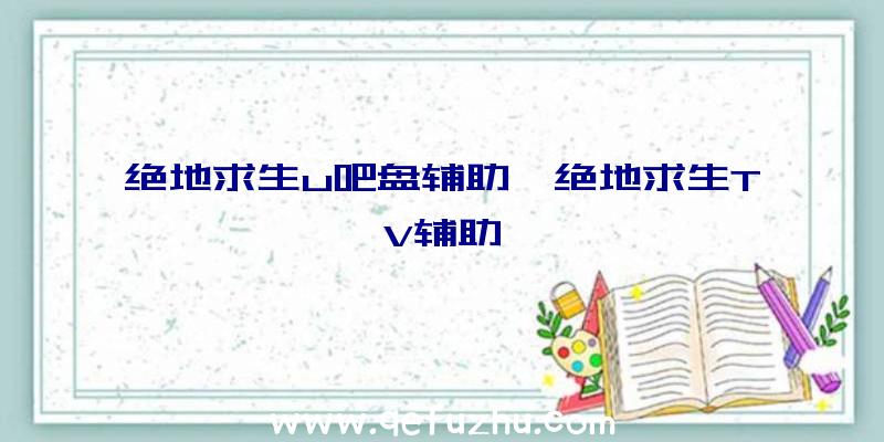 绝地求生u吧盘辅助、绝地求生TV辅助