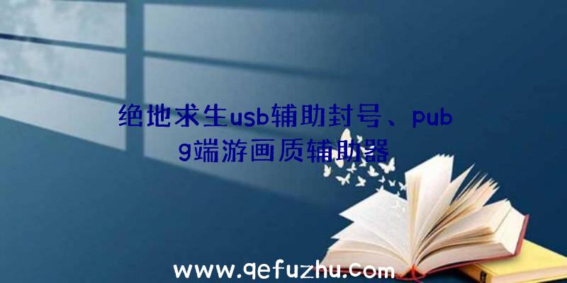 绝地求生usb辅助封号、pubg端游画质辅助器