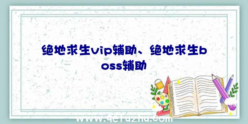 绝地求生vip辅助、绝地求生boss辅助