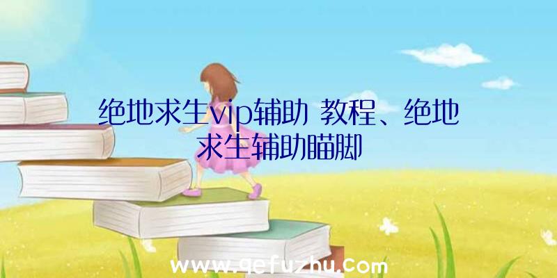 绝地求生vip辅助