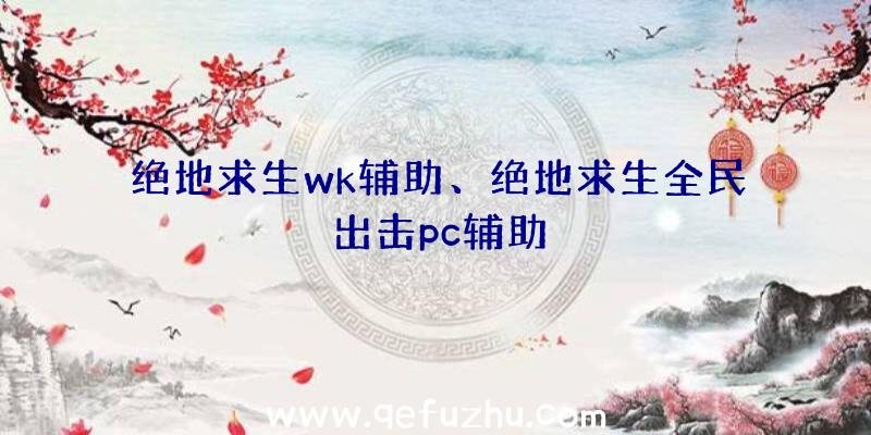 绝地求生wk辅助、绝地求生全民出击pc辅助