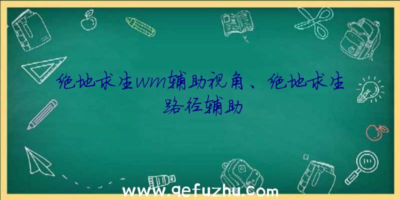 绝地求生wm辅助视角、绝地求生